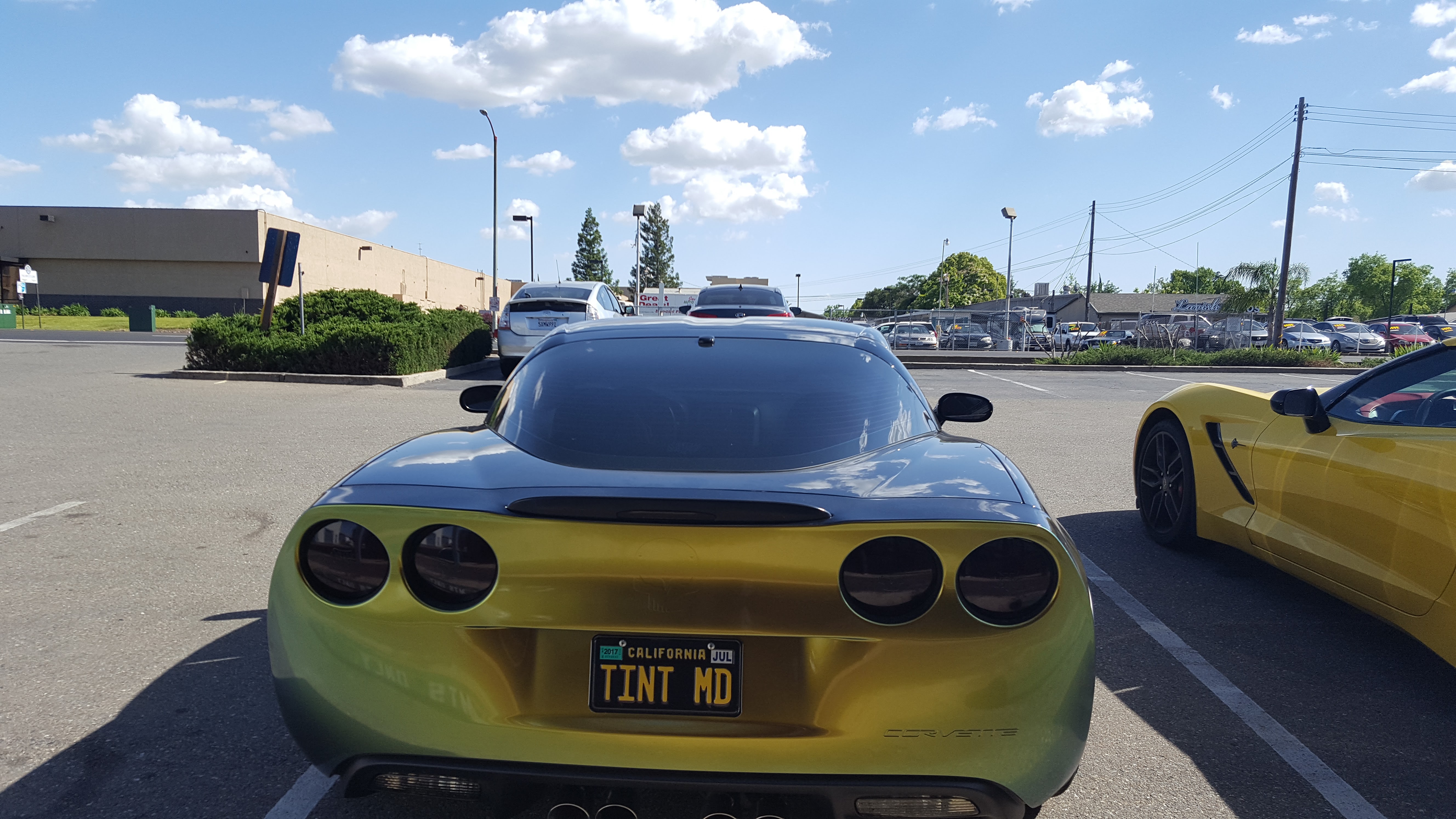Vinyl Graphics | Marvelous Tint Solutions Vinyl Graphics | Marvelous Tint Solutions
